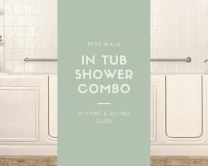 Best Walk In Tub Shower Combo