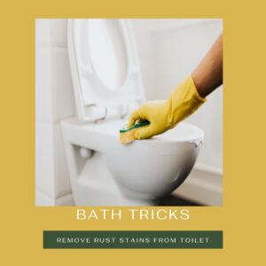Remove-Rust-Stains-From-Toilet