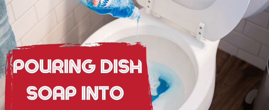 Pouring Dish Soap into the toilet
