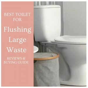 Best Toilet For Flushing Large Waste