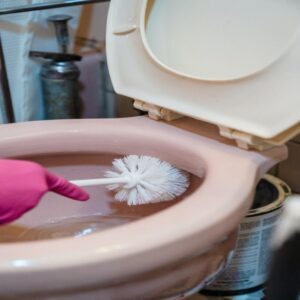 3-Additional-Ways-to-Clean-the-Toilet-Bowl
