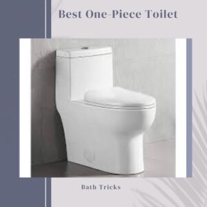Best-One-Piece-Toilet