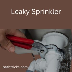 Leaky Sprinkler 
