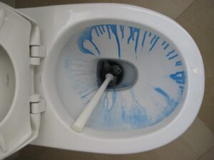 Remove Rust Stains From Toilet